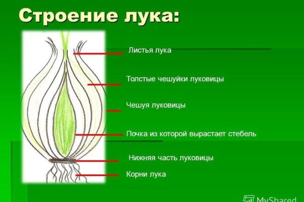 Кракен сайт официальный onion