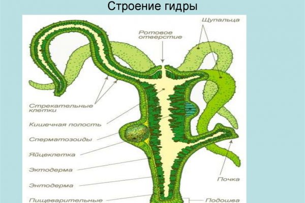 2krn at официальный