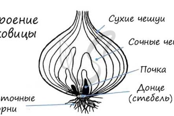 Кракен закладки